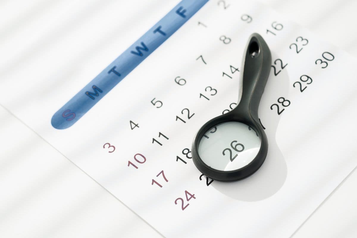 The Health and Safety Year: 12 Months, 12 Actions