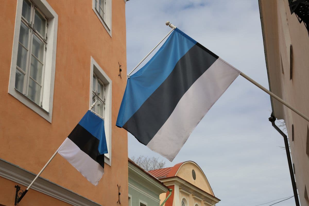 Health and Safety in Estonia: 11 Duties for a Tallinn Office